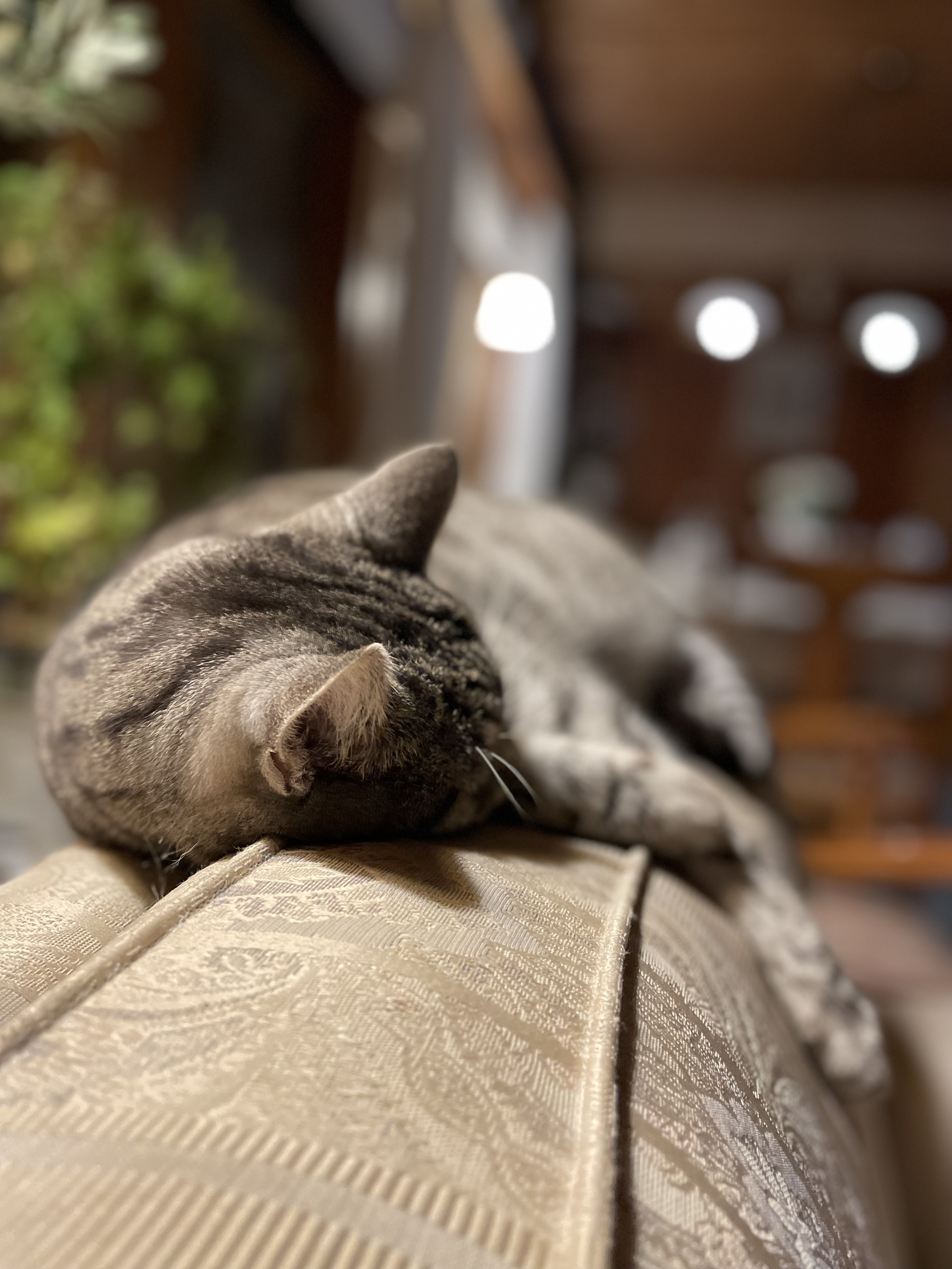 Warum Stille für unsere Seele wichtig ist