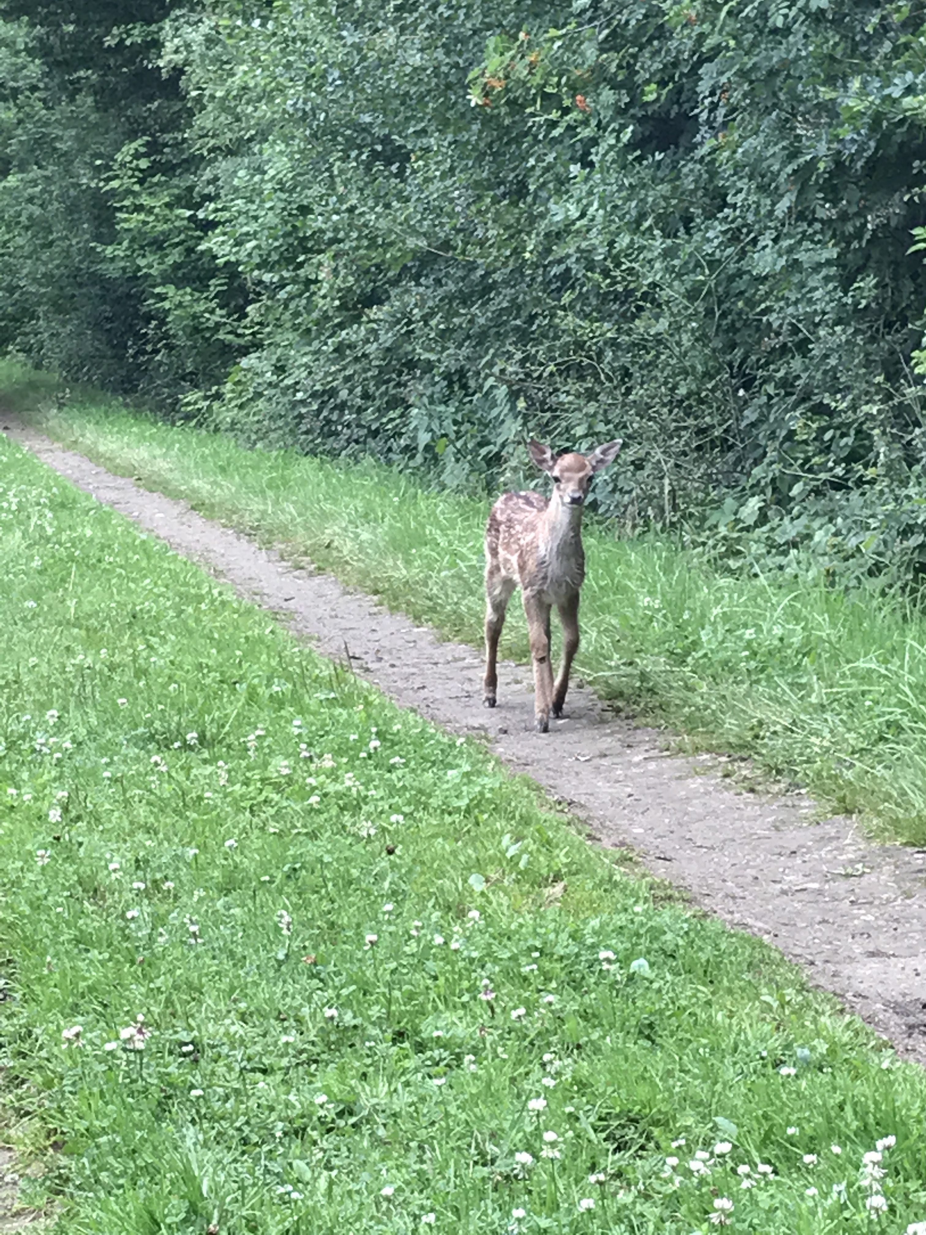 Positive Gefühle verankern – Momente der Freude bewusst speichern