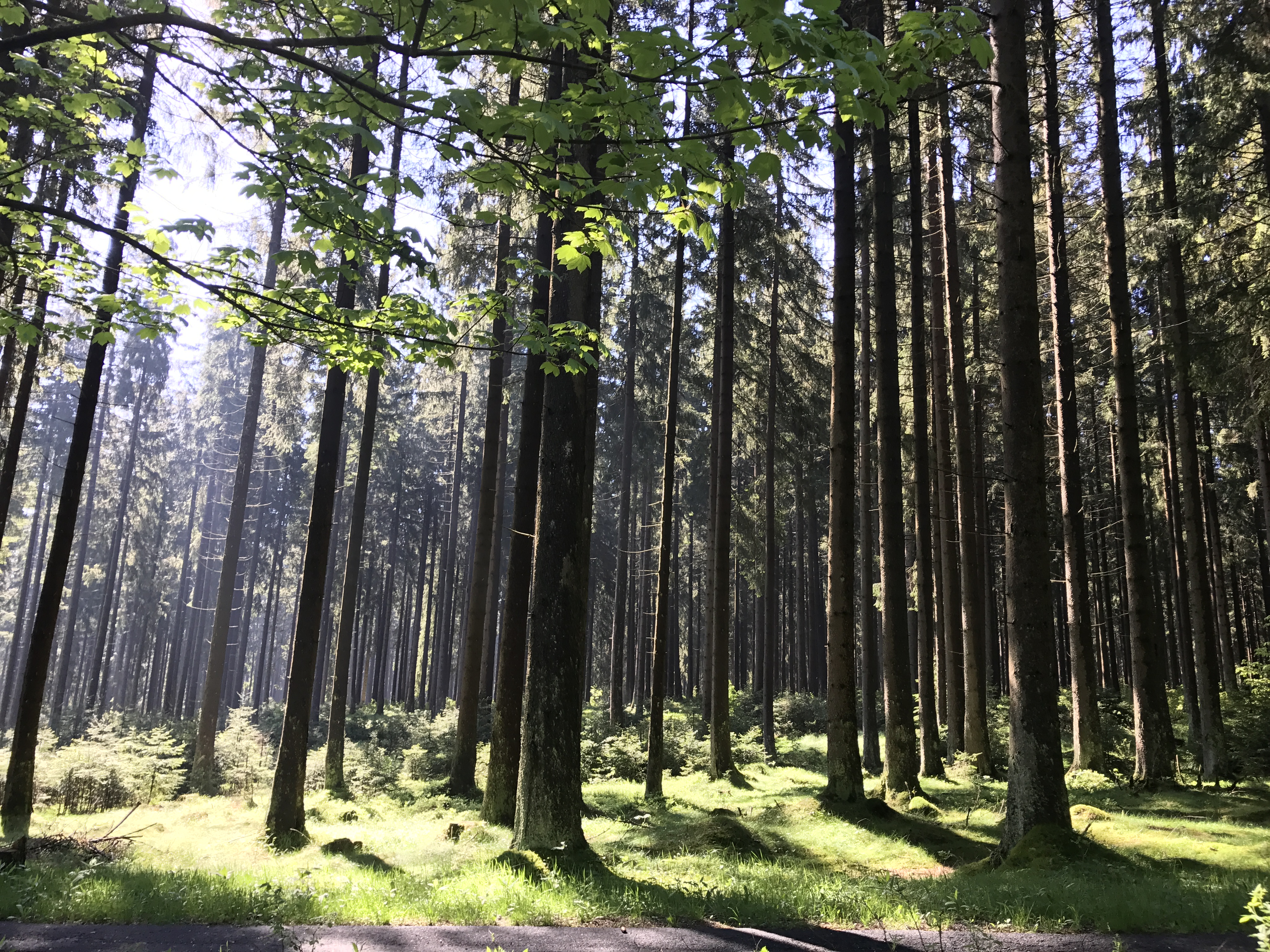 Wenn Gedanken schwer werden – zurück zu dir finden
