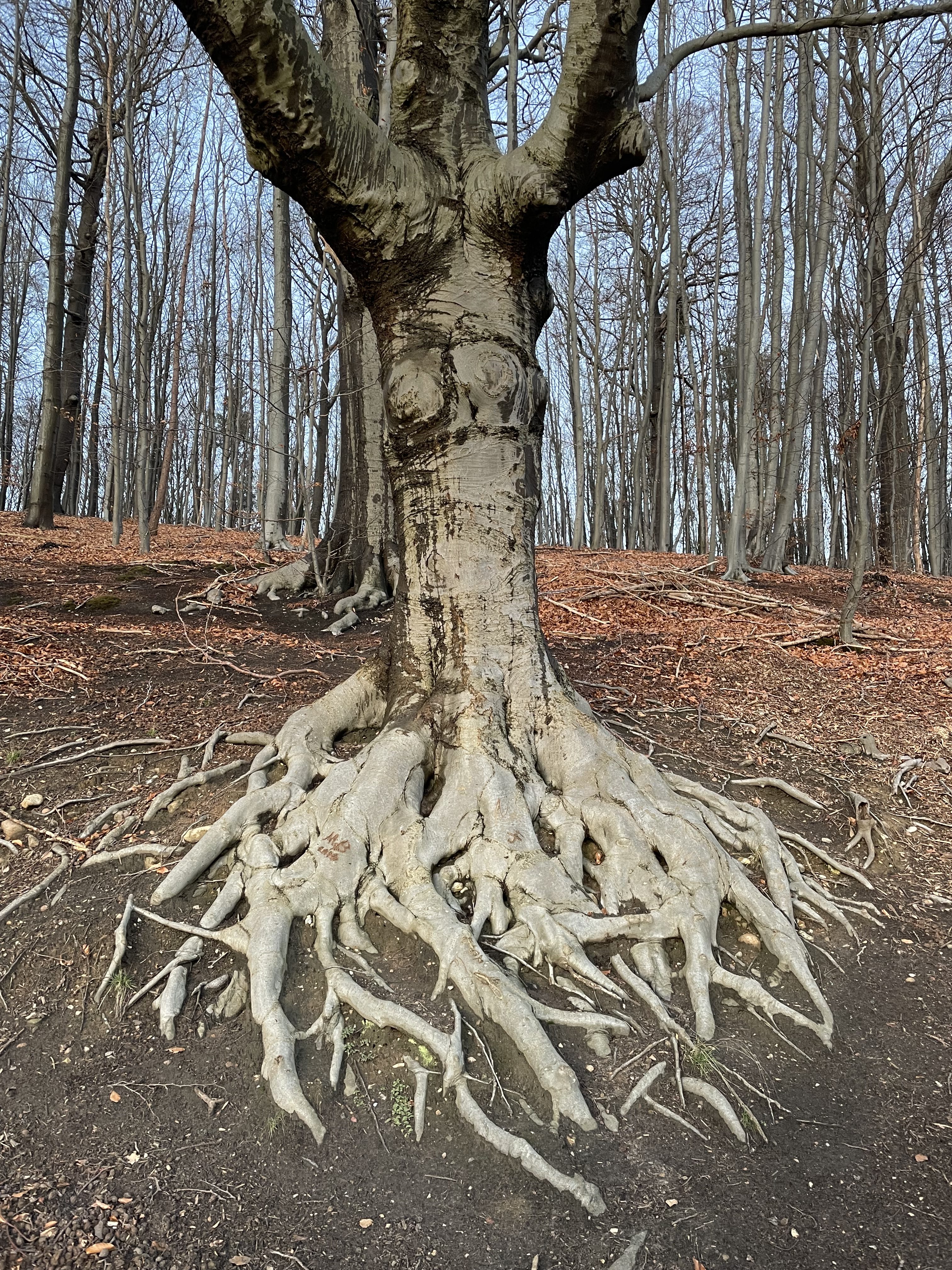 Warum deine schlimmsten Gedanken fast nie eintreten