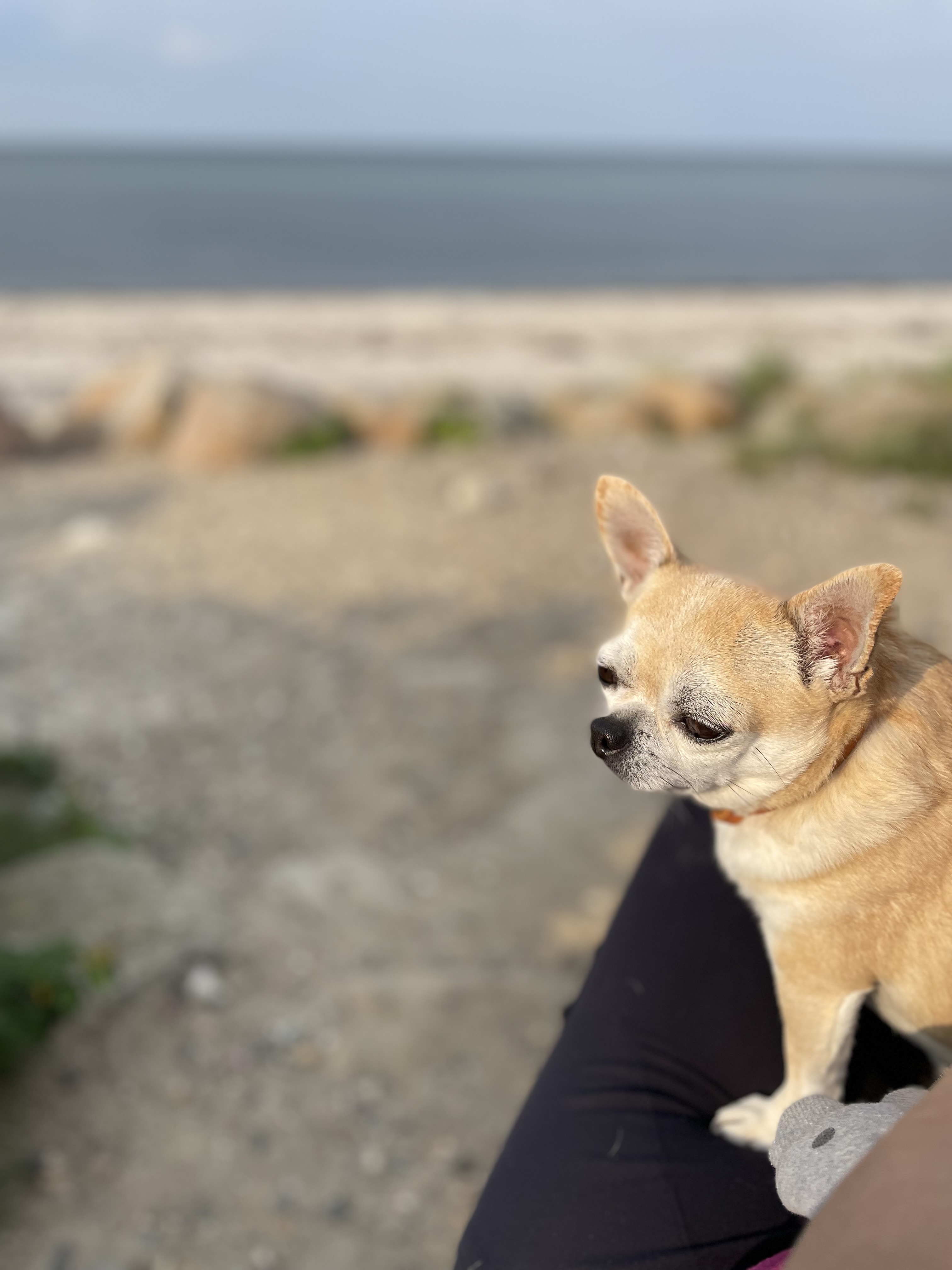 Deine 3-Minuten-Seelensee-Meditation