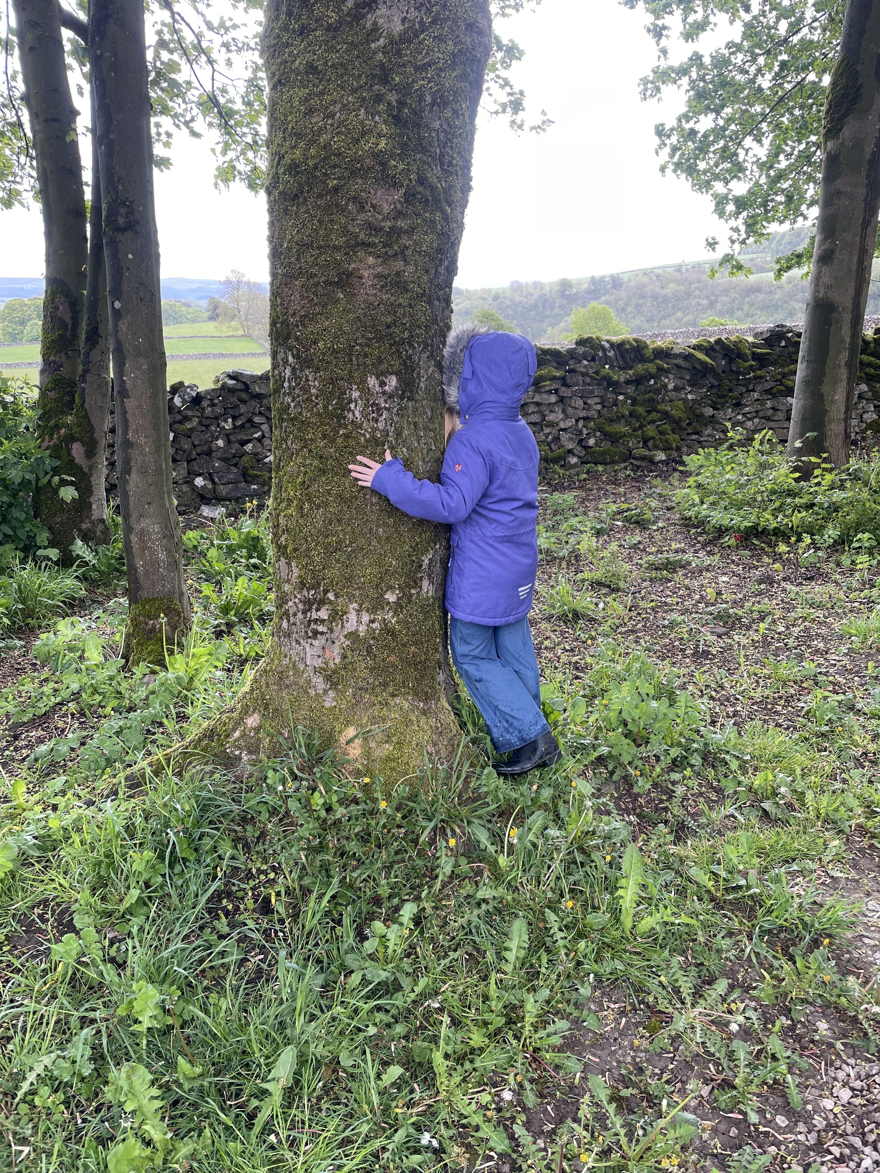 Fast 100 Schnecken: Wie Kinder im Wald plötzlich Mathe üben